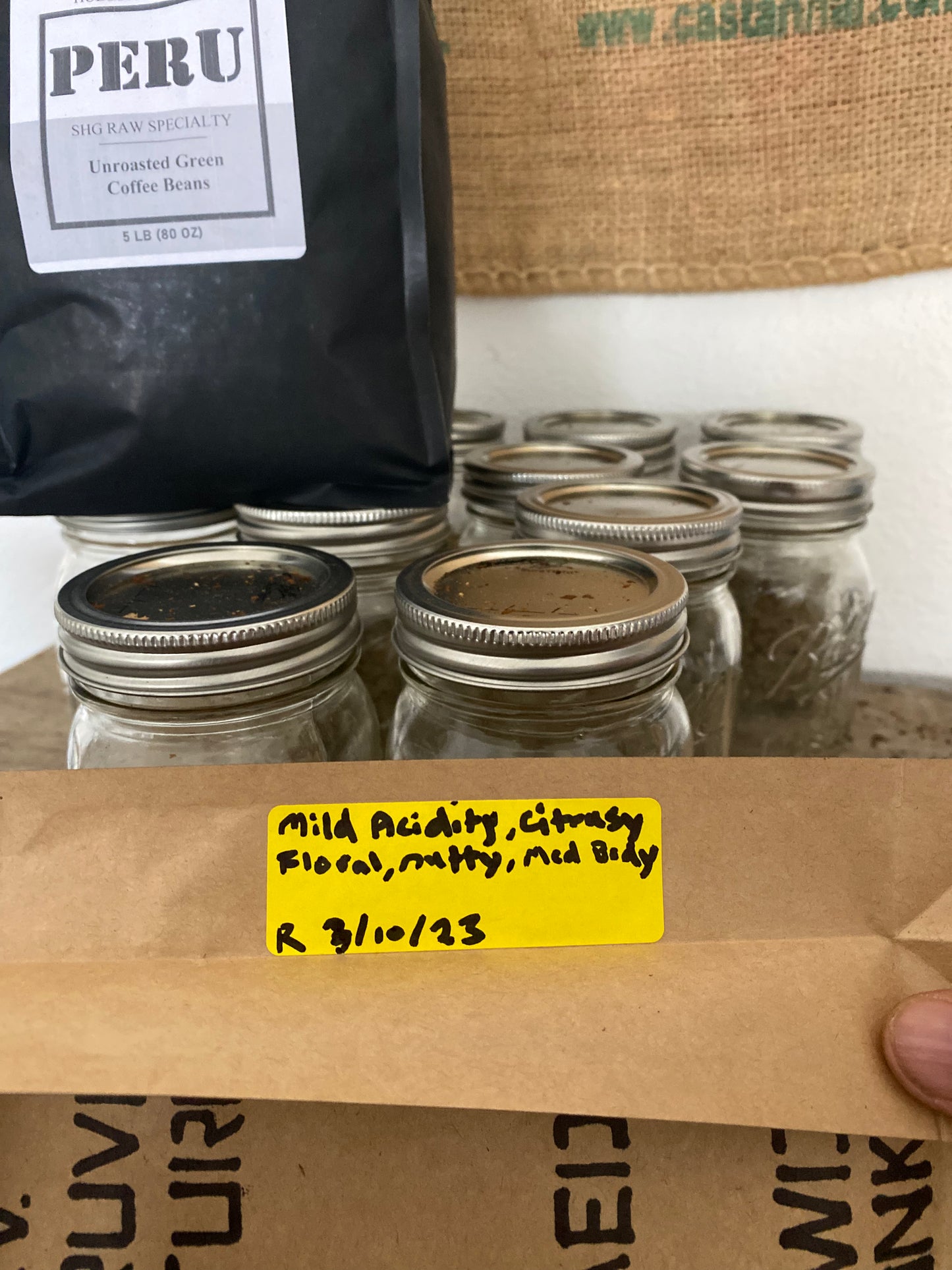 Powder Monkey - Medium Roast